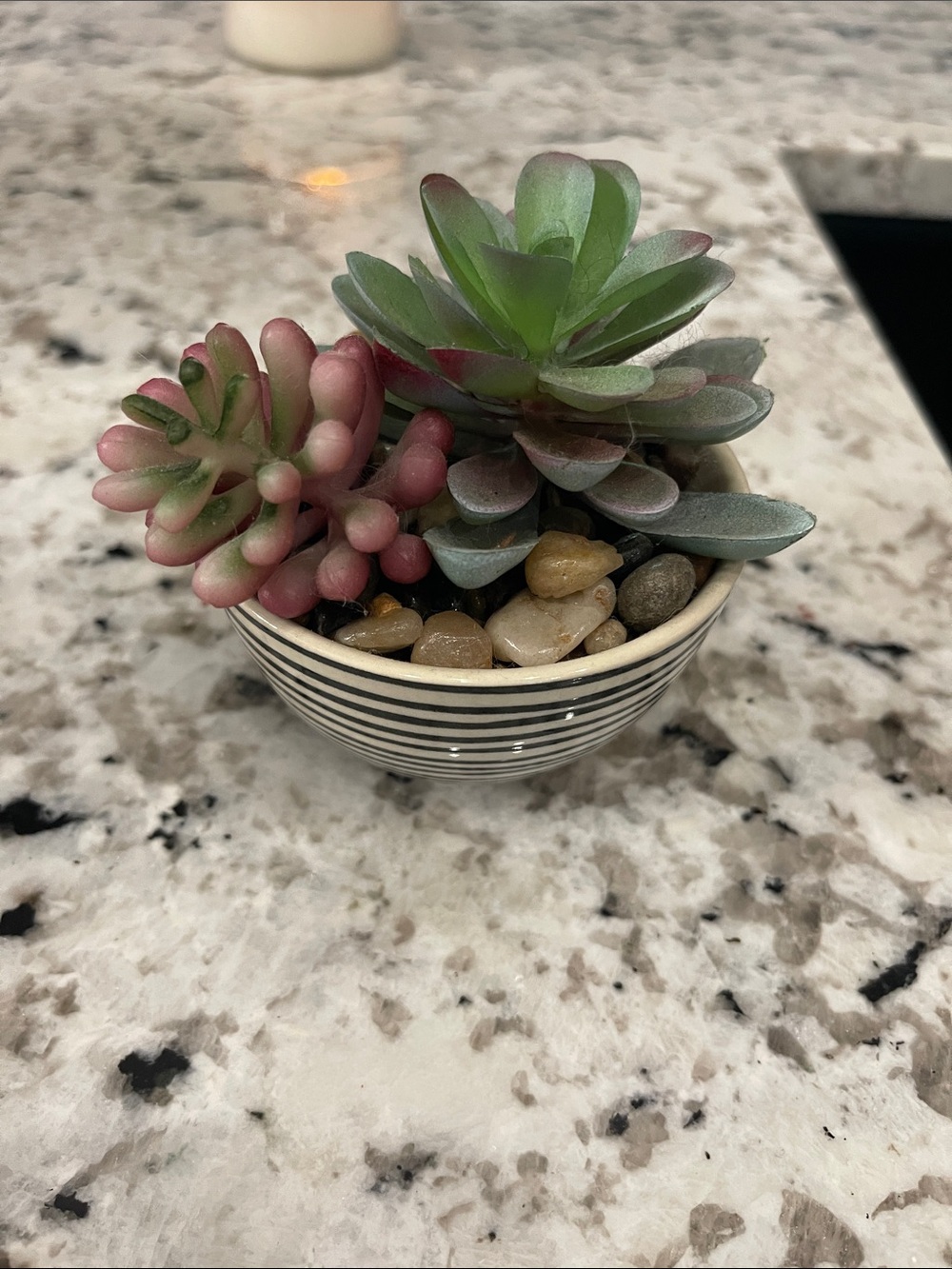 Source Unknown Striped Ceramic Bowl with Green and Pink Faux Succulents